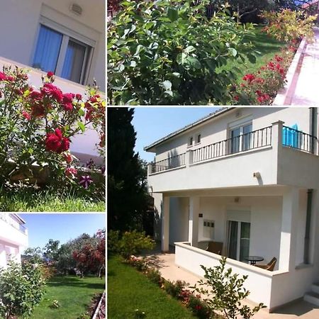 Villa Markic Drvenik  Εξωτερικό φωτογραφία