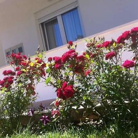Villa Markic Drvenik  Εξωτερικό φωτογραφία