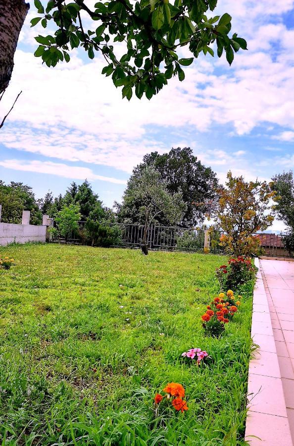Villa Markic Drvenik  Εξωτερικό φωτογραφία