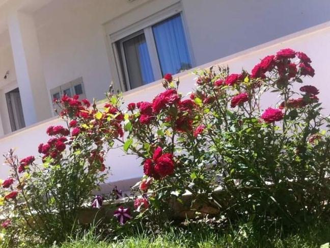 Villa Markic Drvenik  Εξωτερικό φωτογραφία